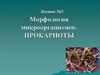 Морфология микроорганизмов. Прокариоты