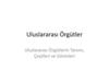 Uluslararası Örgütler