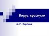 Вирус краснухи
