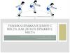 Техника прыжка в длину с места. Как делать прыжки с места