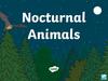 Nocturnal animals