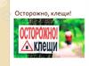 Осторожно, клещи