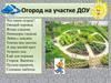 Огород на участке ДОУ