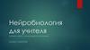 Нейробиология для учителя. Техники нейро-эффективного обучения