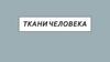 Ткани человека