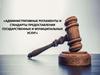 Административные регламенты и стандарты предоставления государственных и муниципальных услуг