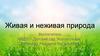 Живая и неживая природа