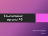 Таможенные органы