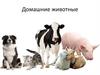 Домашние животные. Назови ласково