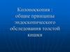 Колоноскопия прямой и толстой кишки