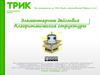 Алгоритмические структуры