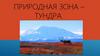 Природная зона – тундра