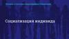 Человек в системе общественных отношений. Социализация индивида