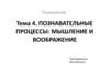 Познавательные процессы: мышление и воображение