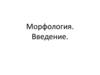 Морфология. Введение