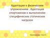 Адаптация к физическим упражнениям. Адаптация спортсменов к выполнению специфических статических нагрузок
