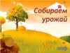 Собираем урожай. Игры для дошкольников