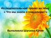 Исследовательский проект на тему: « Что мы знаем о подсолнухе?»