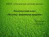 Экологический класс «Молодые защитники природы»