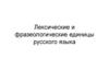 Лексические и фразеологические единицы русского языка