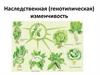 Наследственная (генотипическая) изменчивость. Урок 7
