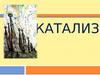 Катализ