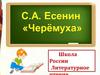 С.А. Есенин "Черёмуха"