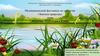 Водоёмы Республики Коми. Экологический фестиваль «Знатоки природы» для дошкольных учреждений