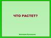 Что растет