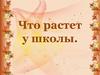 Что растет у школы