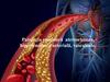 Patologia vasculară ateroscleroza, hipertensiunea arterială, vasculitele