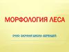 Морфология леса