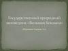 Государственный природный заповедник "Большая Кокшага"