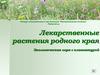Лекарственные растения родного края Экологическая. Игра с клавиатурой