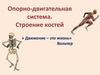Опорно-двигательная система. Строение костей