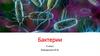 Бактерии. 9 класс