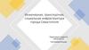 Инженерная, транспортная, социальная инфраструктура города Севастополя