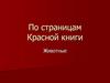 По страницам Красной книги. Животные