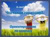 Горизонт. Ориентирование по компасу