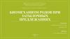 Биомеханизм родов при затылочных предлежаниях