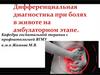 Дифференциальная диагностика при болях в животе на амбулаторном этапе