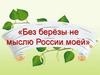 «Без берёзы не мыслю России моей»