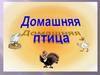 Домашние птицы