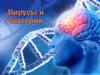 Вирусы и бактерии