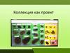 Коллекция как проект