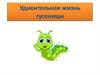 Удивительная жизнь гусеницы