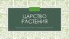 Царство Растения. Кружок «Горизонты биологии: система живых организмов»
