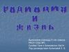 Радиация и жизнь