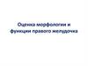 Оценка морфологии и функции правого желудочка
