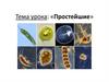 Простейшие